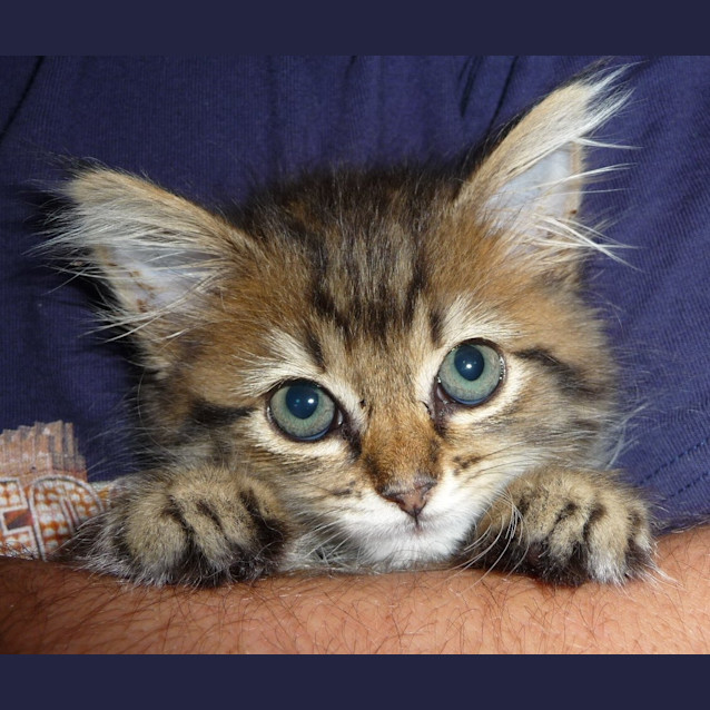 Photo of Charlie