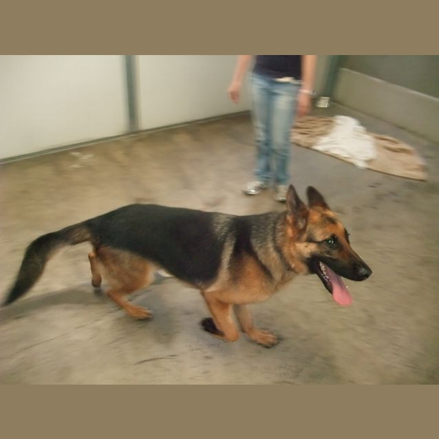 Photo of Sammy "A5791"