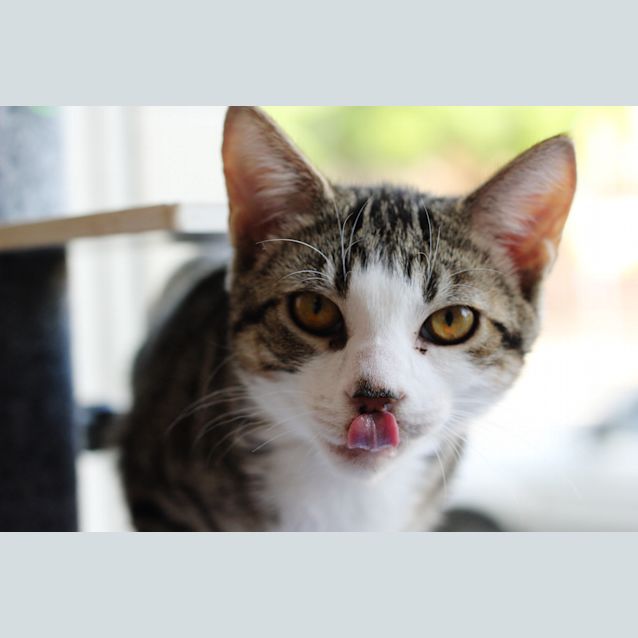 Photo of Seisai And Unagi