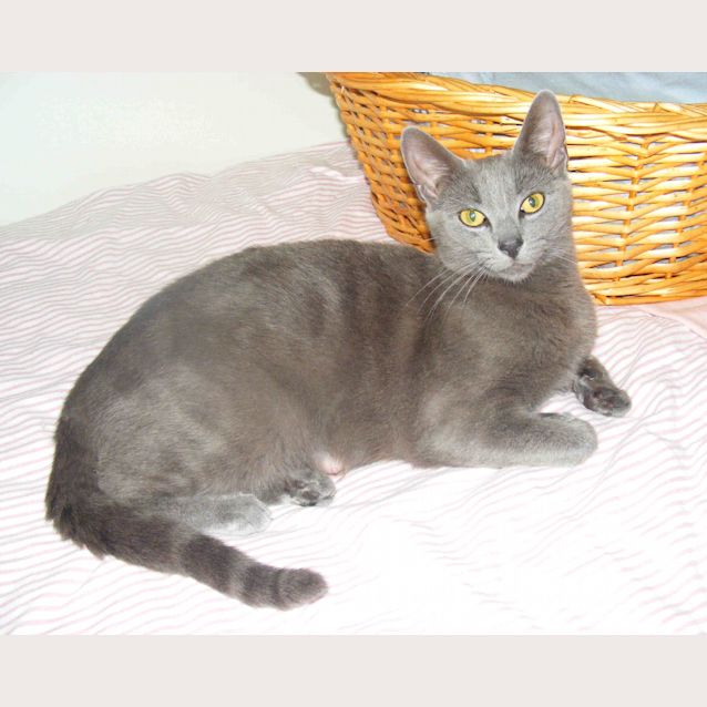 Photo of Zanna