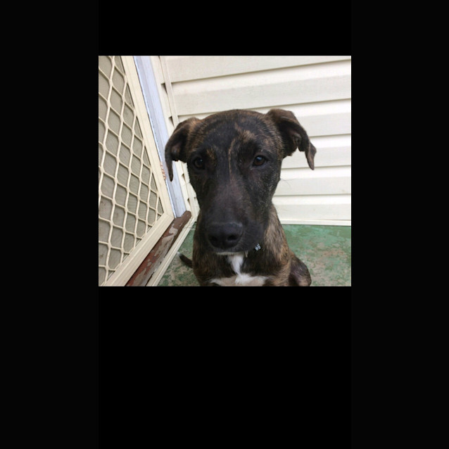 Photo of Casey ** A Total Lovebug **