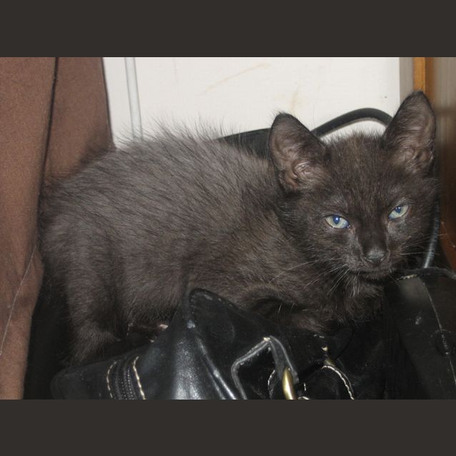 Photo of Gary