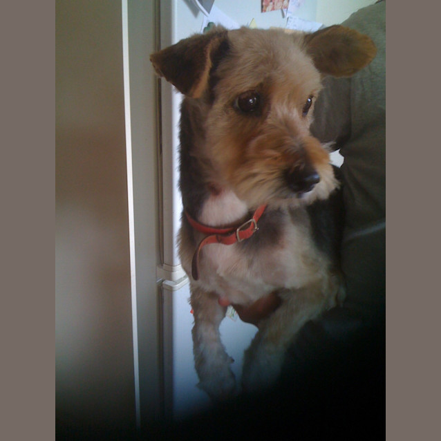 Photo of Lockie