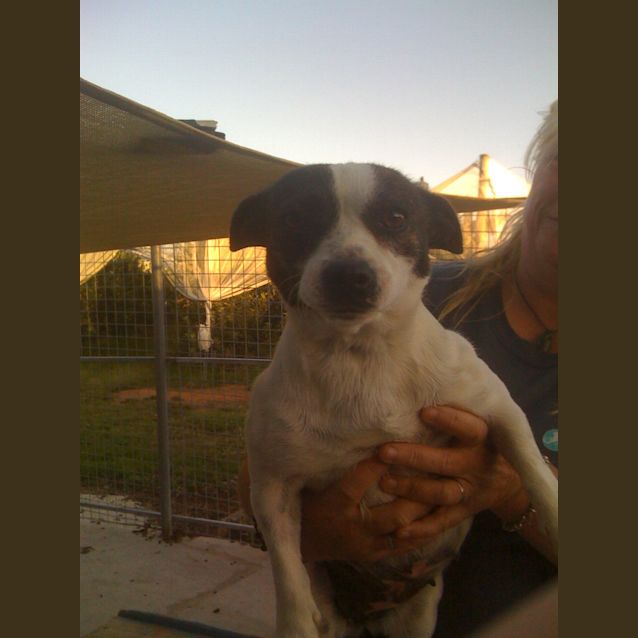 Photo of Suzie