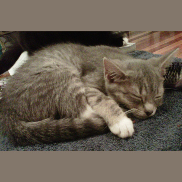 Photo of Kiki