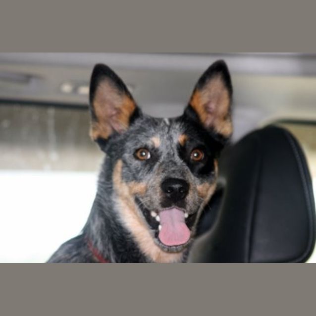 Photo of Sheela