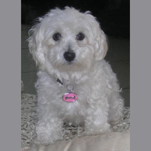 Photo of Keira