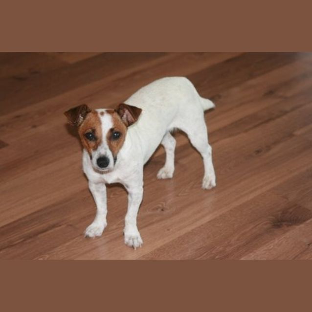 Photo of Molly