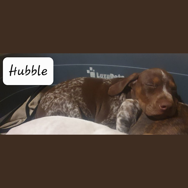 Photo of Sky Babies   Sun, Hubble Or Kiri