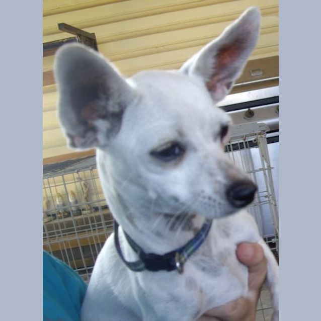 Photo of Bonita