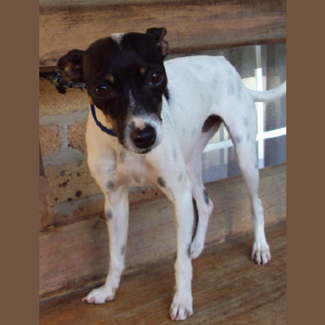 Photo of Miss Molly