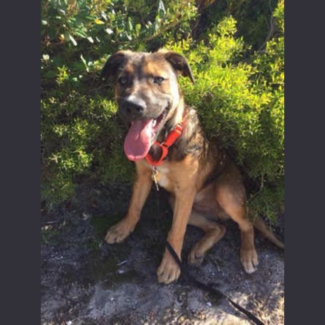 Photo of Tristan (Ed0105) 