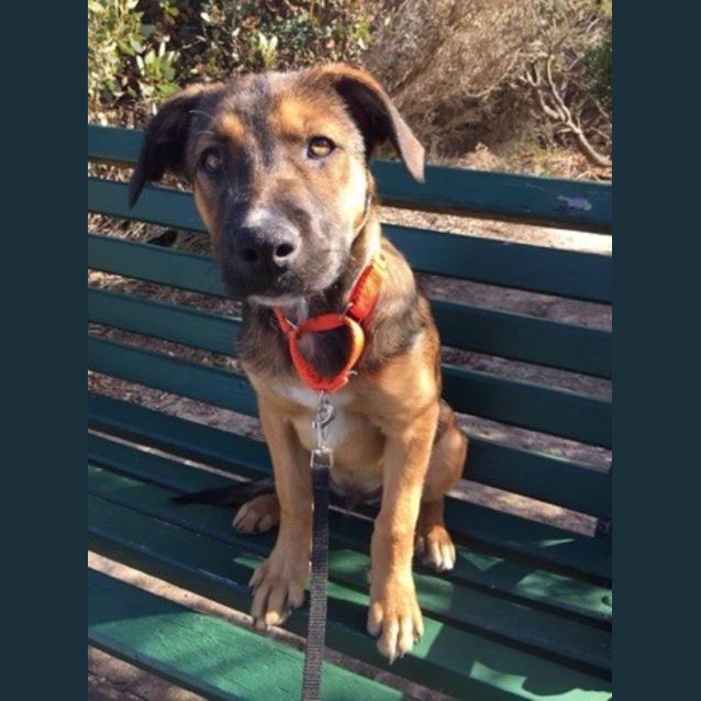 Photo of Tristan (Ed0105) 