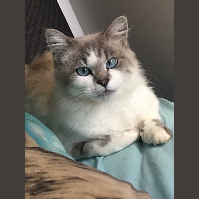 Photo of Dior (Located In Tullamarine)