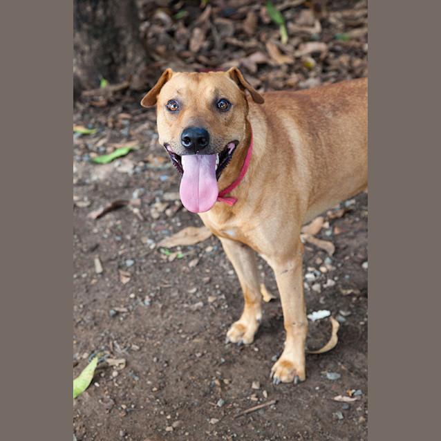 Photo of Zeus2