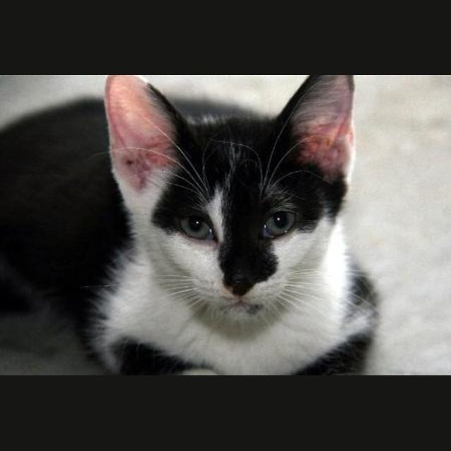 Photo of Skittles