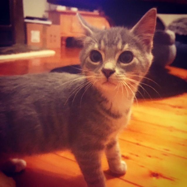 Photo of Harley