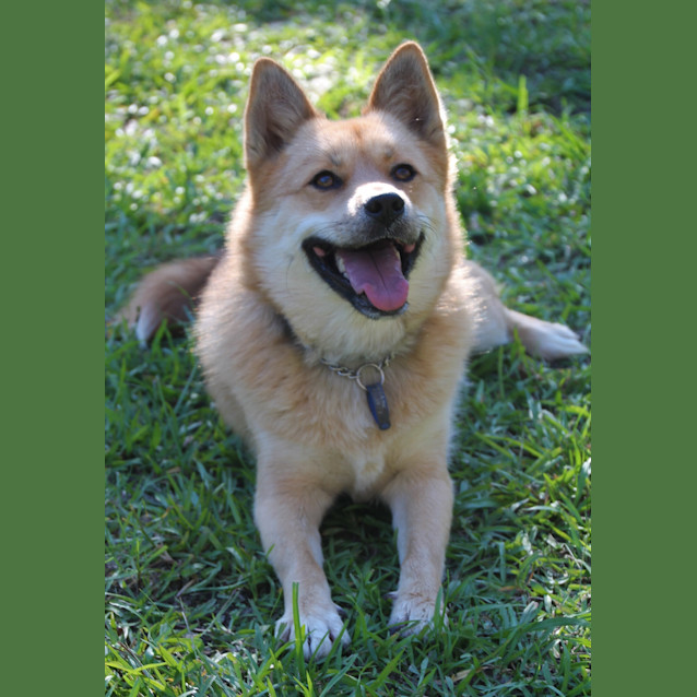 Photo of Jax ~ On Trial 25/4/17