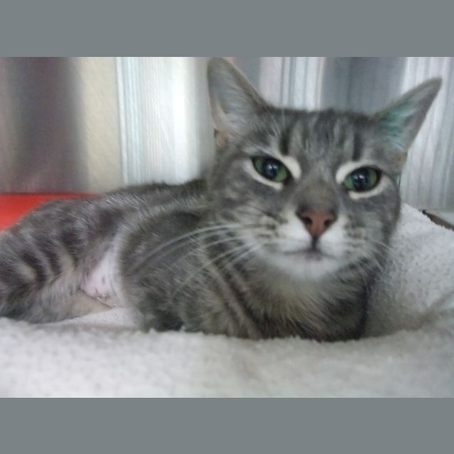 Photo of "Francine" C09175