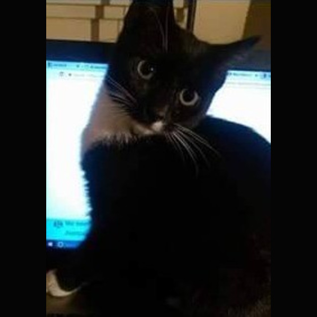 Photo of Seuss (Located In Oak Park)