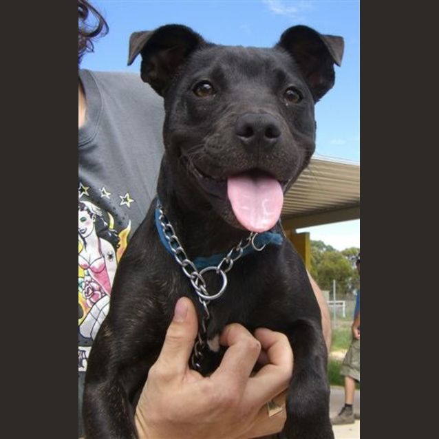 Photo of Mildred