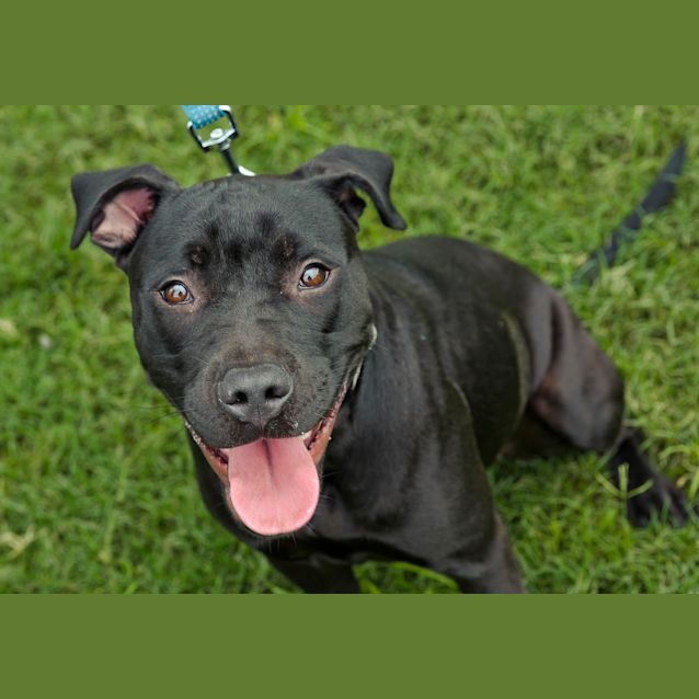 Photo of Storm