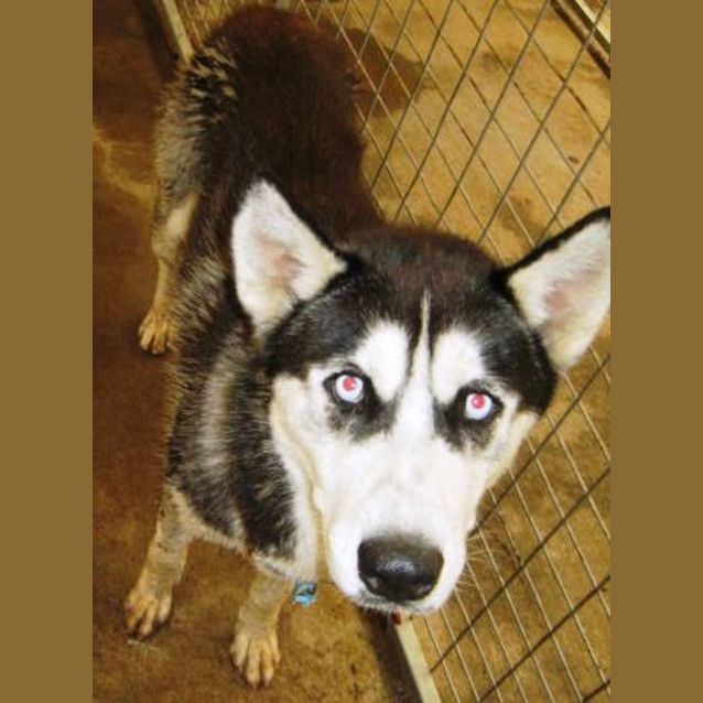 Photo of Urgent Impound 291