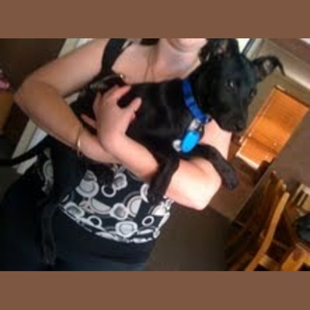 Photo of Trooper