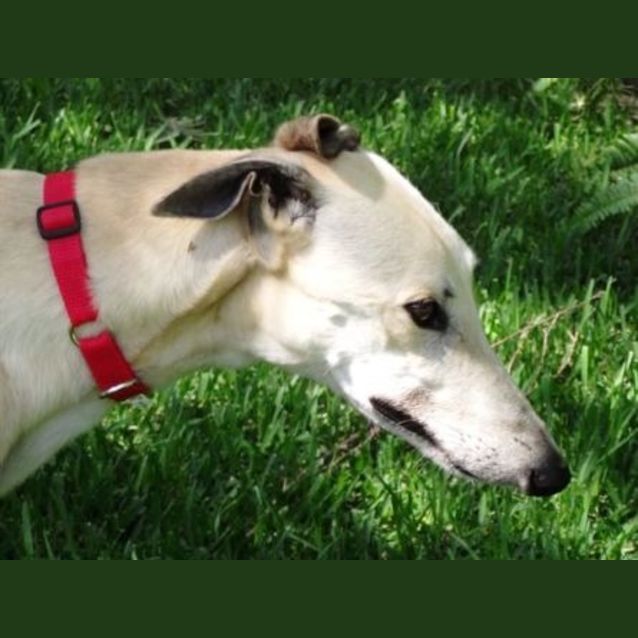 Photo of Cliff   Checking Out My New Home