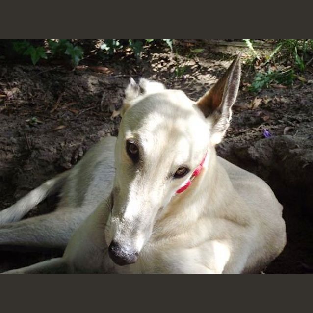 Photo of Cliff   Checking Out My New Home