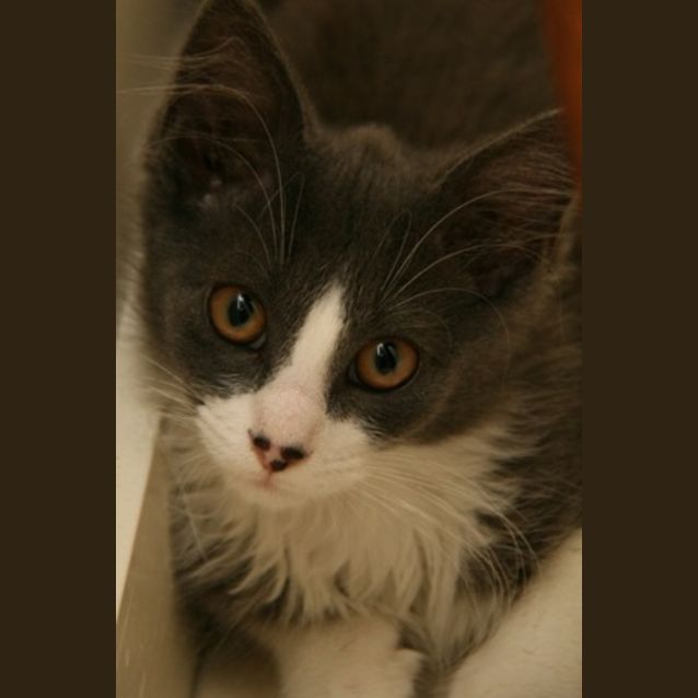 Photo of Ash