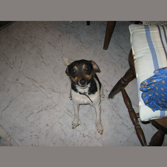 Photo of Buster