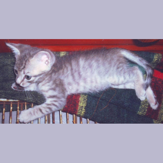 Photo of Spud