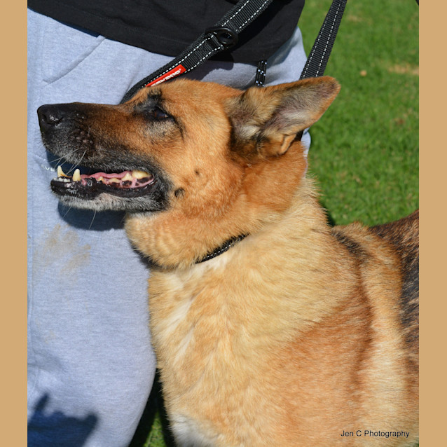 Photo of Fergi ** A Chilled Relaxed Love Bug **