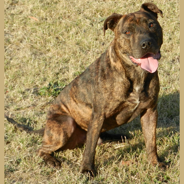 Photo of Rex