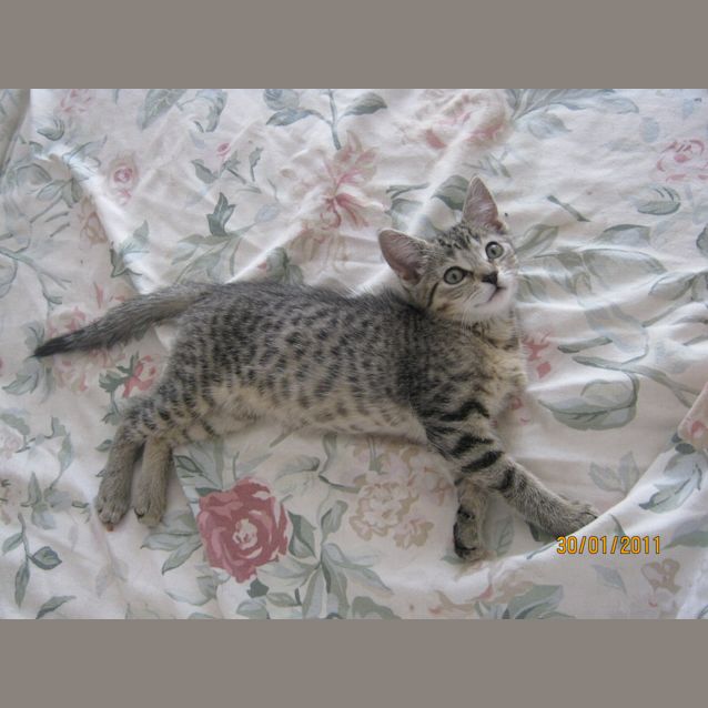 Photo of Luna C. Larter