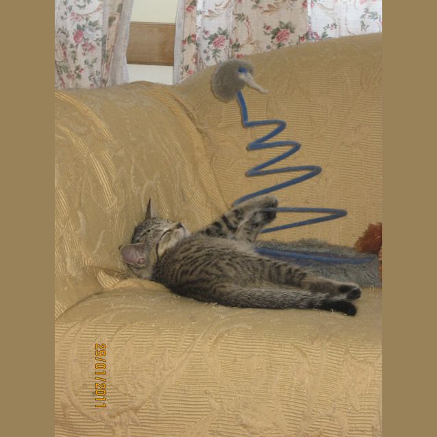 Photo of Luna C. Larter