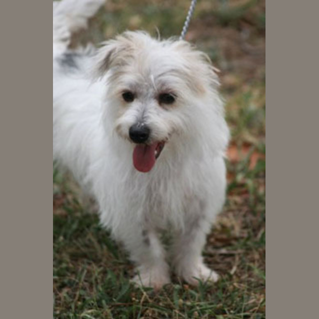 Photo of Doris