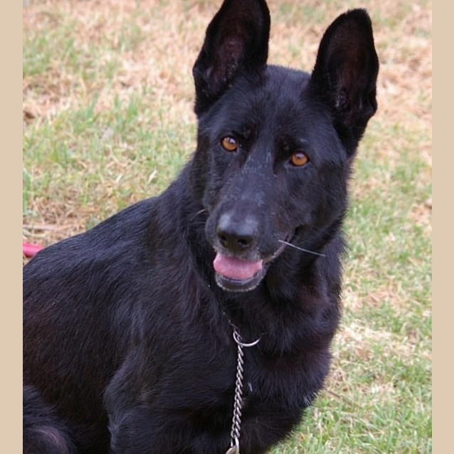 Photo of Tara On Trial With Her New Family