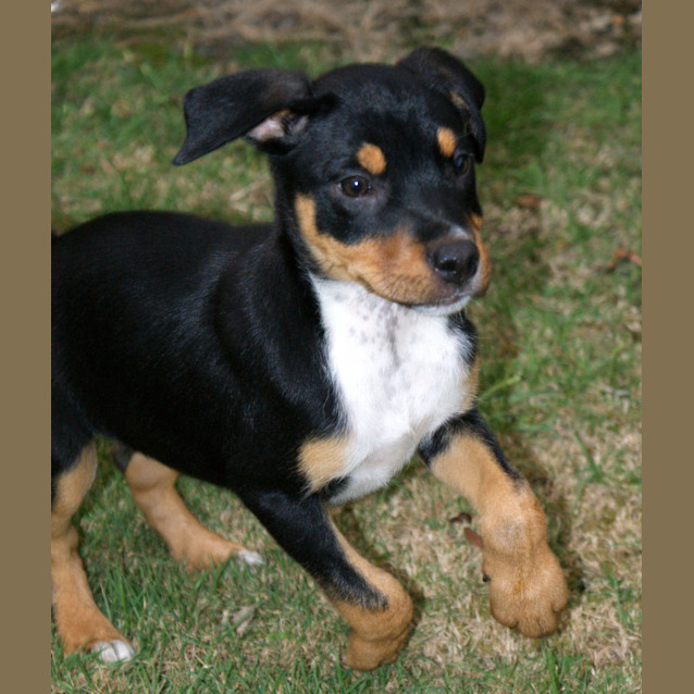 Photo of Cassie