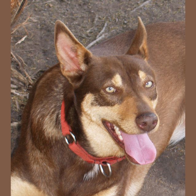 Photo of Miss Molly