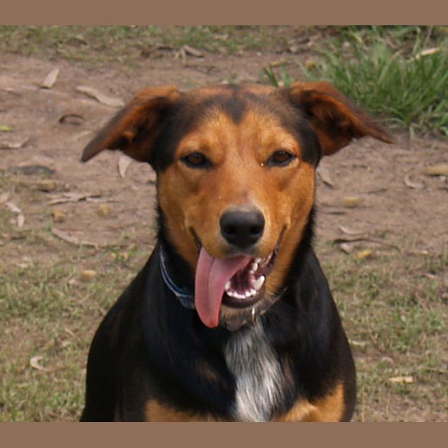 Photo of Rex