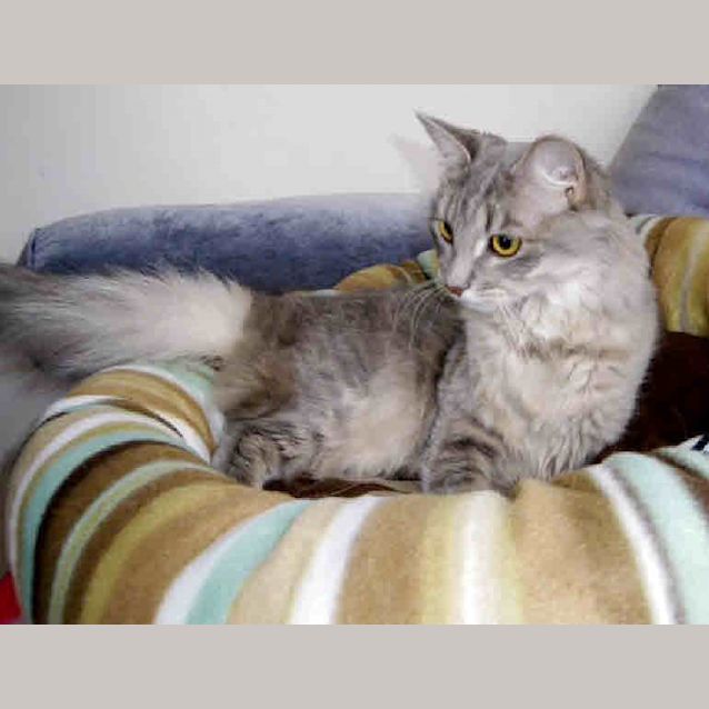 Photo of Cleo