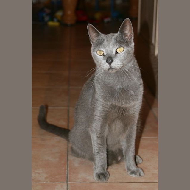 Photo of Roger