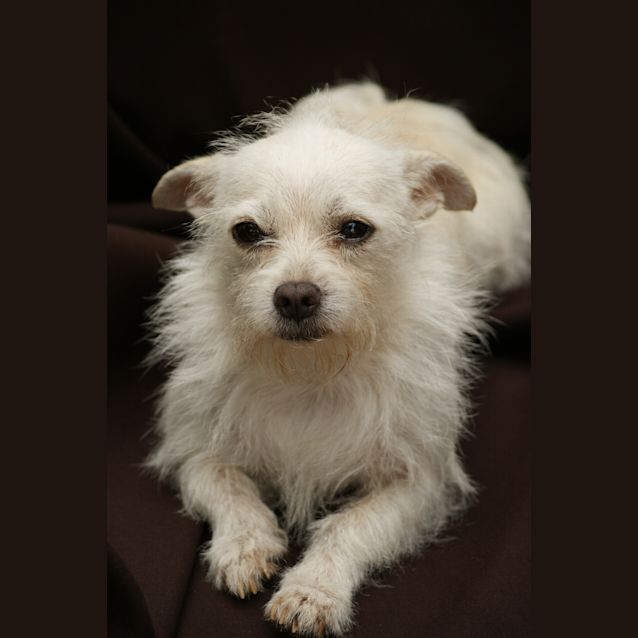 Photo of Missy