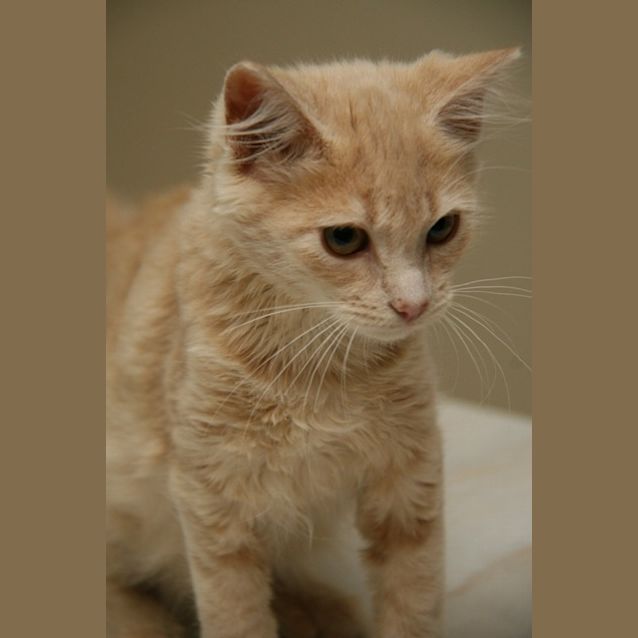 Photo of Nahla