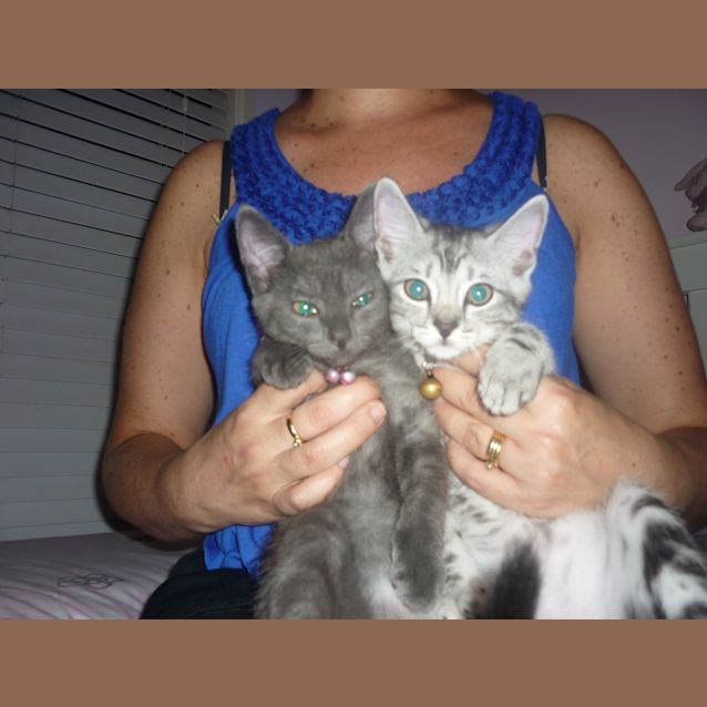 Photo of Lilly And Tiger