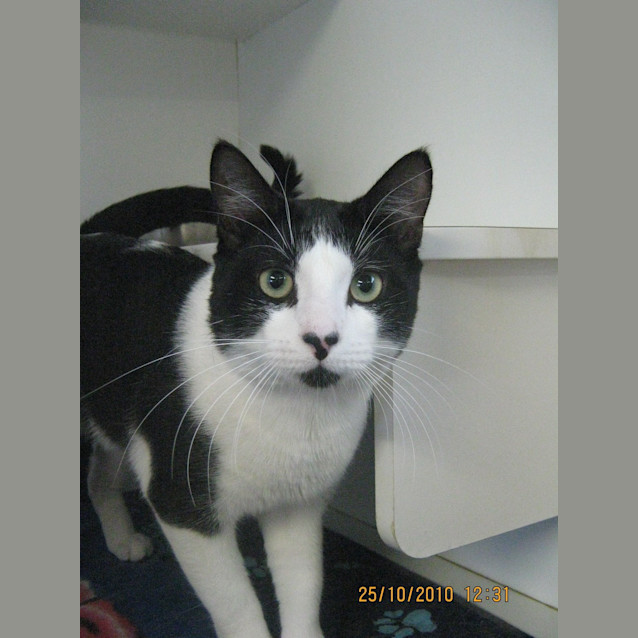 Photo of Cash