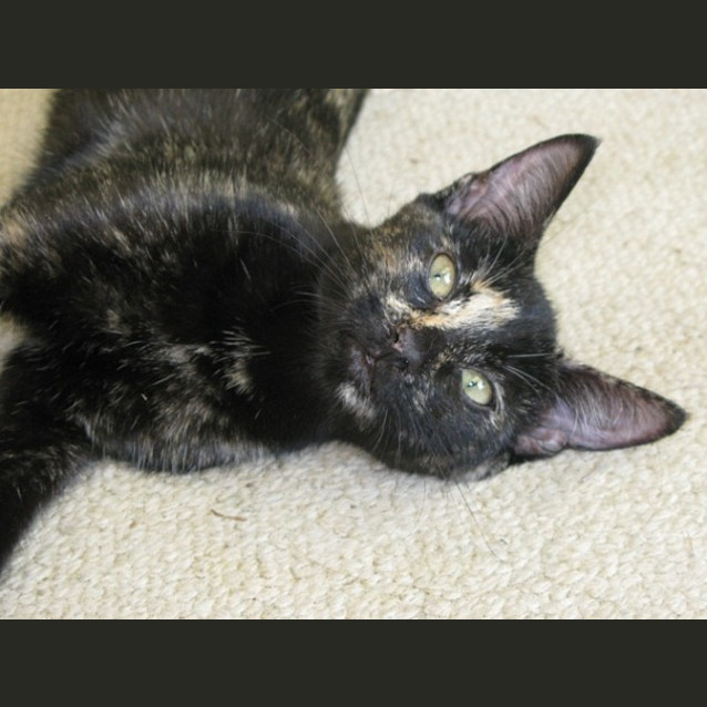 Photo of Lucy