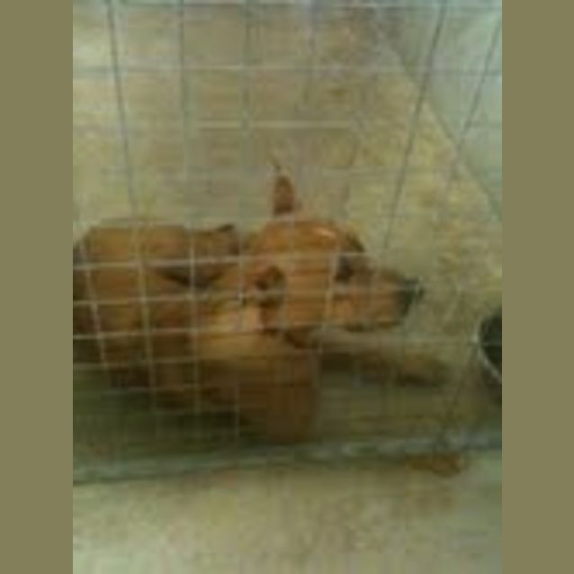 Photo of Zeb Needs Foster